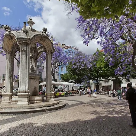 Inn.lisboa Лісабон